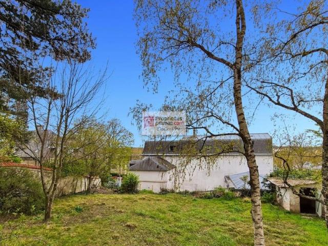 Appartement vente à Versailles
