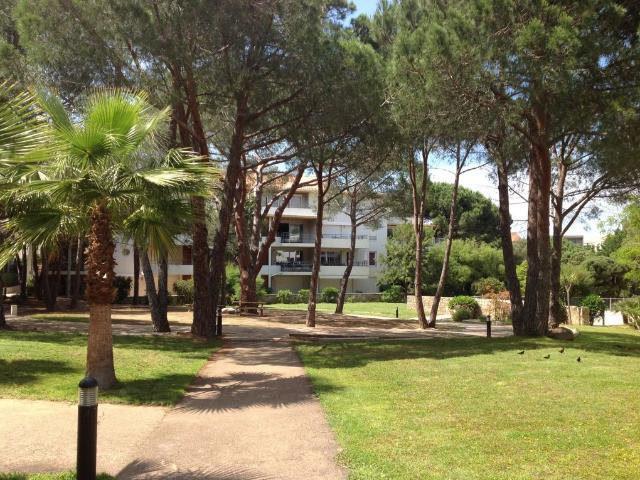 Appartement vente à Calvi