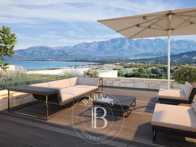 Appartement vente à Calvi