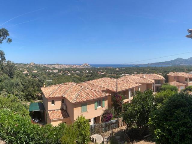 Appartement vente à Calvi