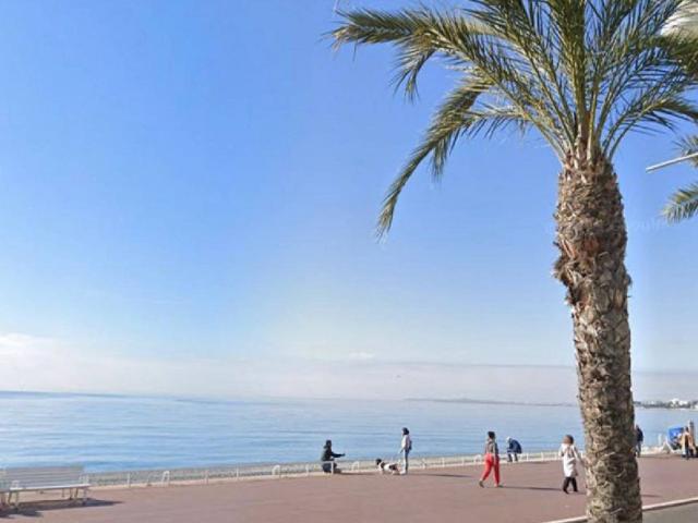 Appartement vente à France métropolitaine, Nice