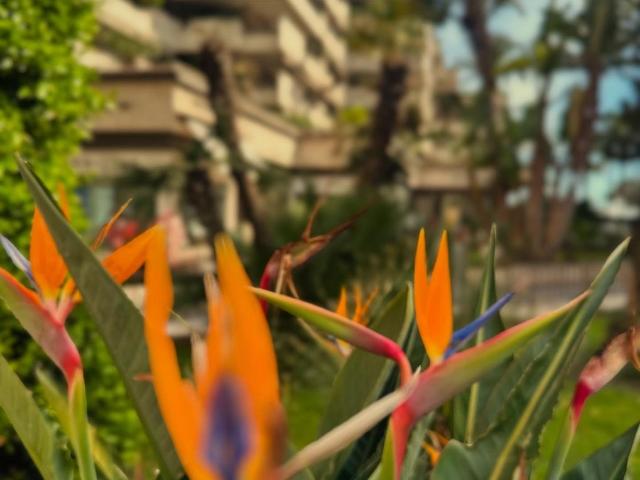 Appartement vente à Grasse, Cannes