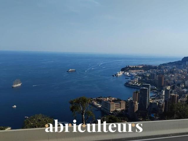 Appartement vente à Roquebrune-Cap-Martin, Alpes-Maritimes