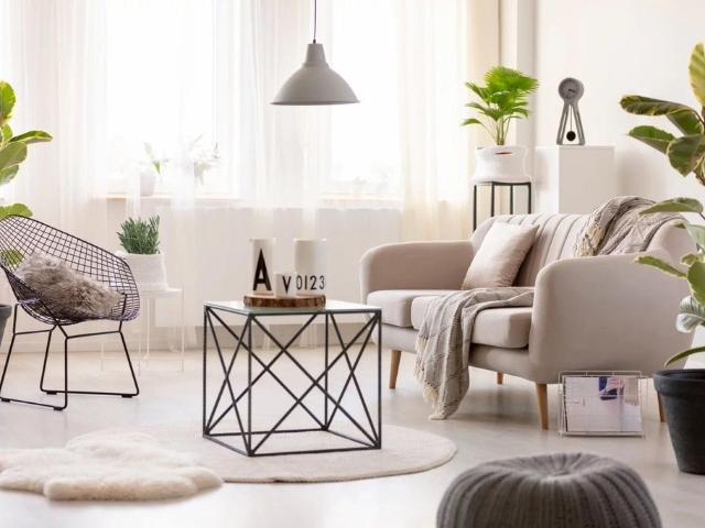 Appartement vente à Céret, Port-vendres