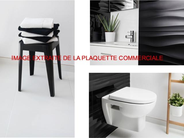 Appartement vente à Gex, Ferney-voltaire