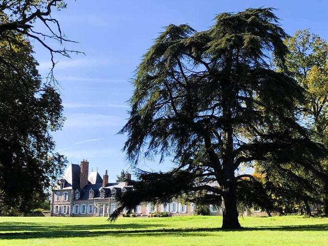 Appartement vente à Romorantin-Lanthenay, Lamotte-beuvron