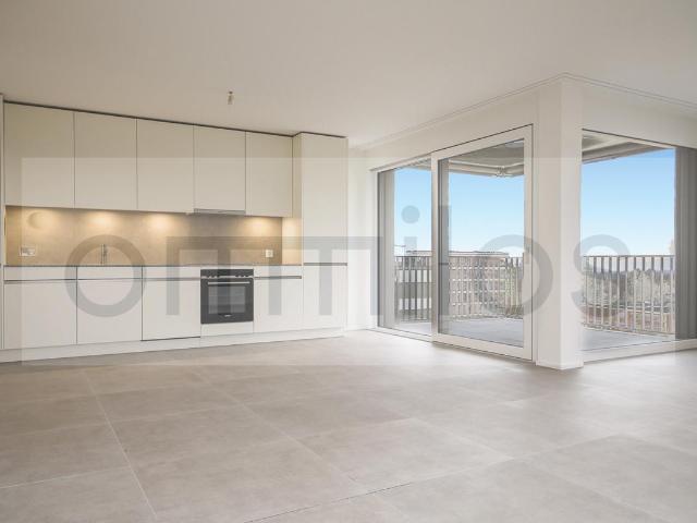 Immobilie kaufen in Crissier, Waadt