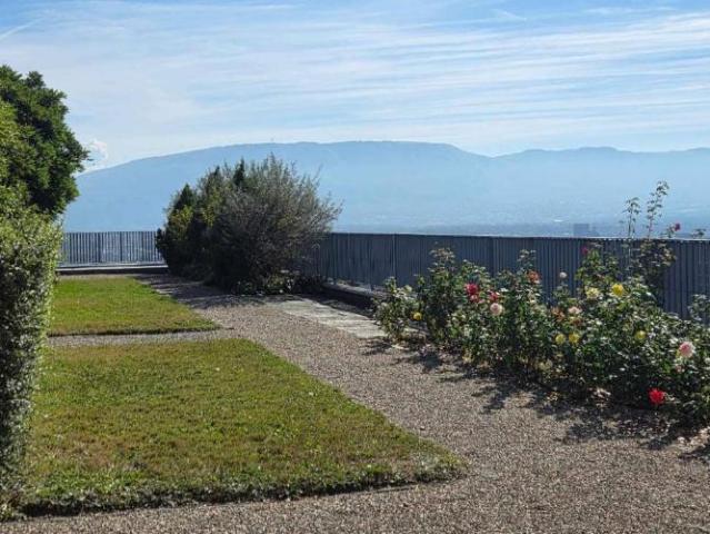 Apartment mieten in Les Pâquis, Genève