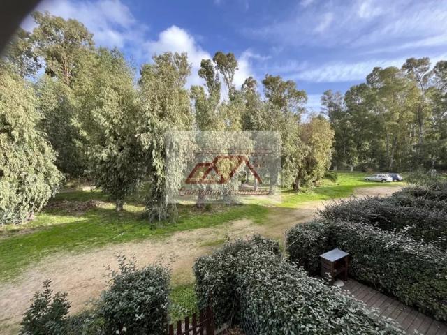 Appartement vente à Calvi
