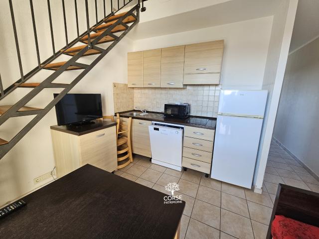 Appartement vente à Corte, Linguizzetta
