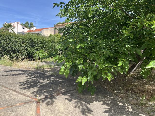 Appartement vente à Perpignan, Cabestany