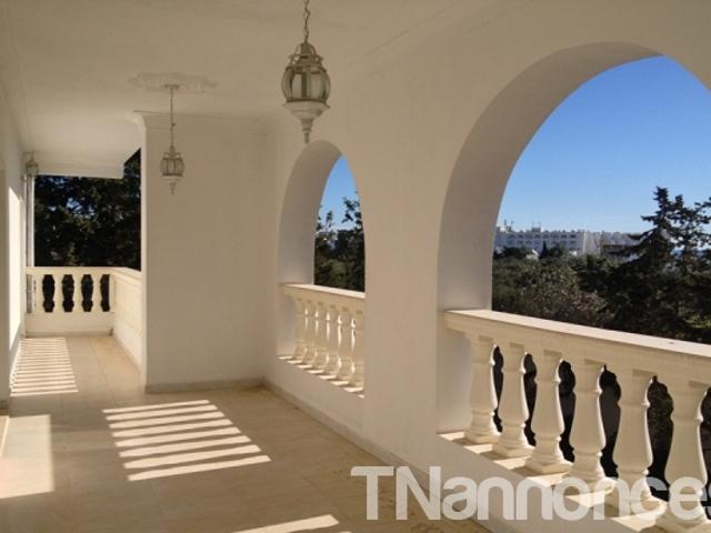 Appartement vente