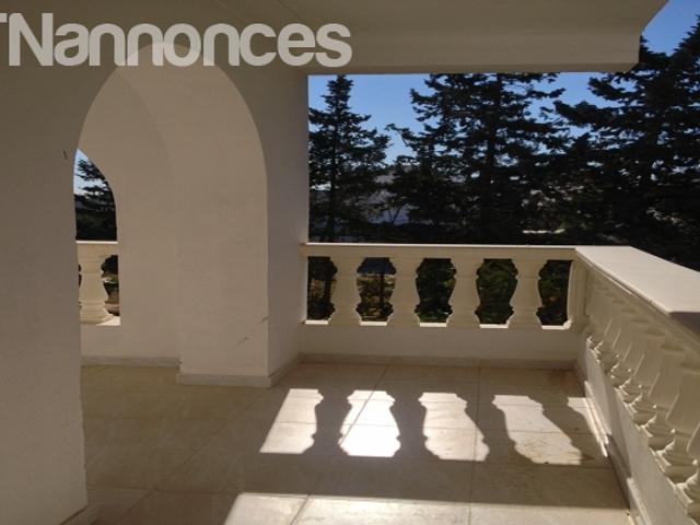 Appartement vente