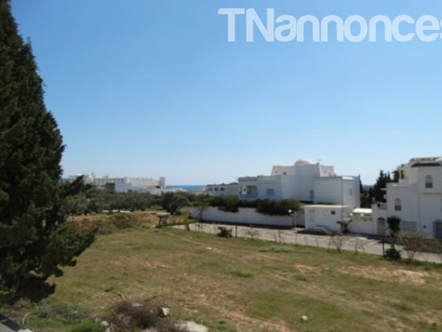 Appartement vente