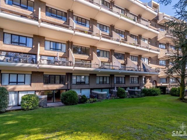 Appartement location à Petit Paris, Waterloo