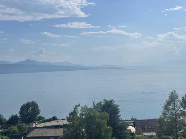 Wohnung kaufen in Bourg-en-Lavaux, Waadt