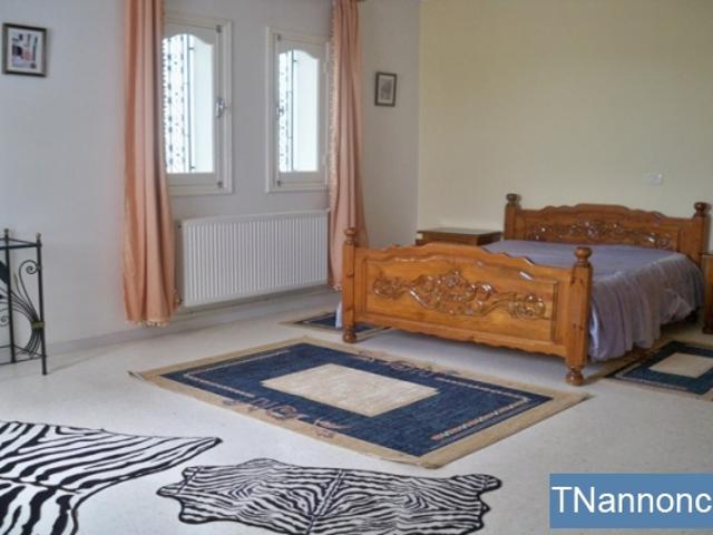 Appartement location