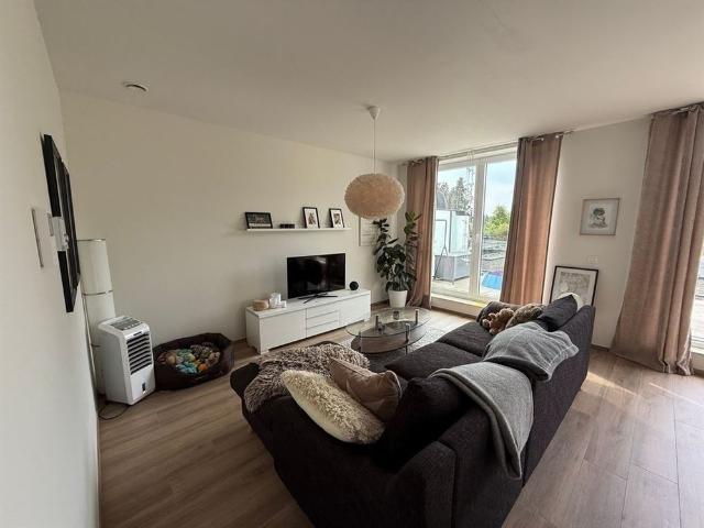 Appartement location à Dilsen-stokkem, Limburg