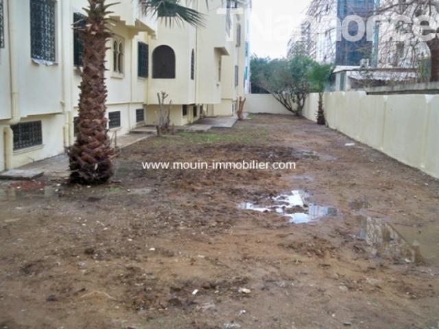 Appartement vente