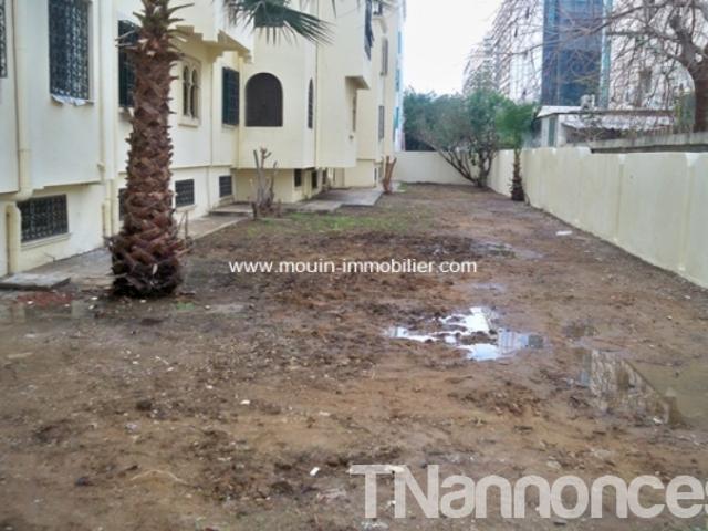 Appartement vente