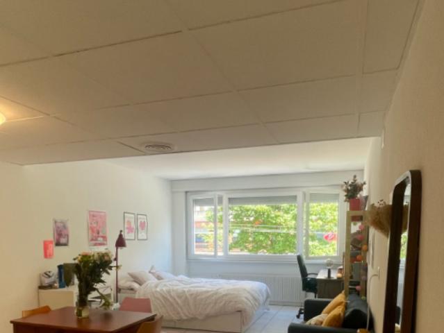 Apartment mieten in Cheseaux-Lausanne, Waadt