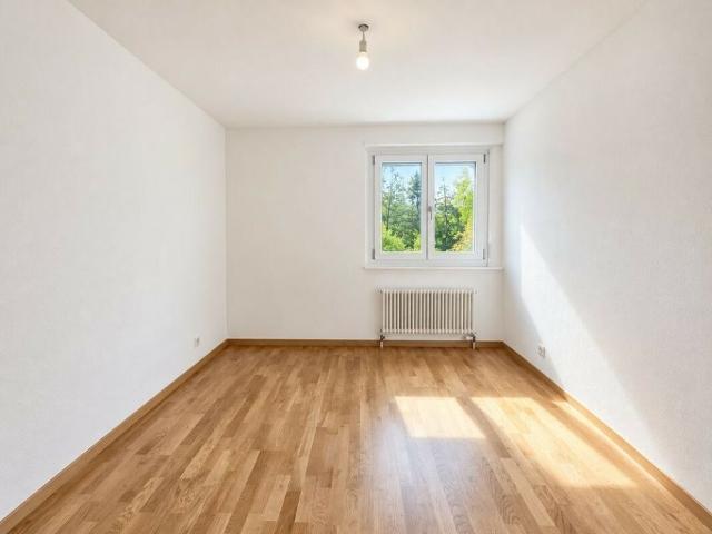 Apartment mieten in Bulle, Freiburg