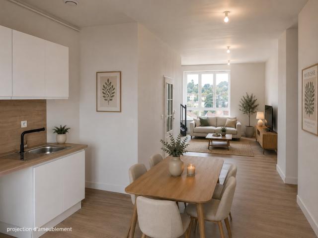 Duplex vente à Lyon, Métropole de Lyon