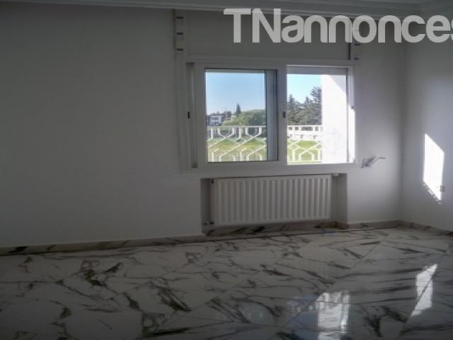 Appartement location