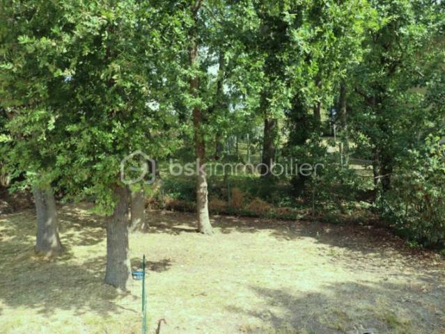 Appartement vente à Palaiseau, Breuillet
