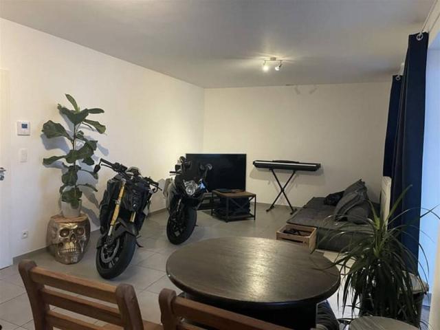 Appartement location à Martelange, Wallonie