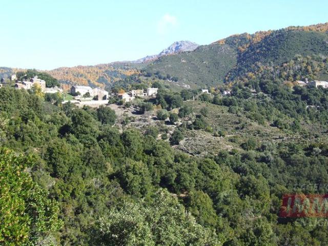 Appartement vente à Corte, Alando