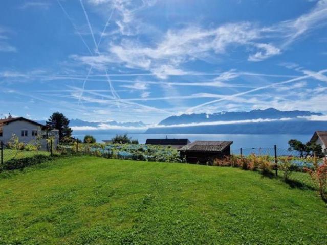 Apartment mieten in Bourg-en-Lavaux, Waadt