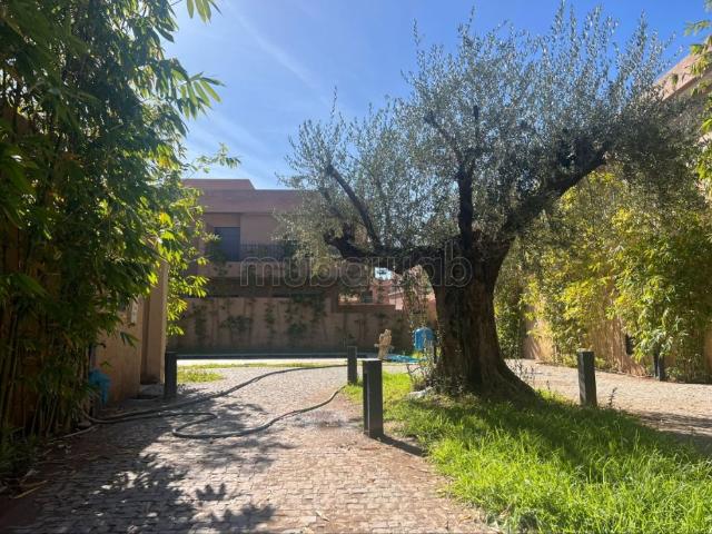 Appartement vente à Marrakech, L'Oriental