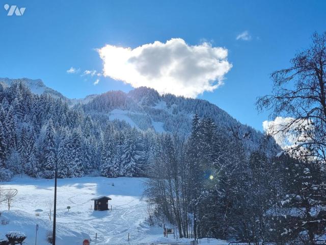 Appartement vente à Thonon-les-Bains, Le Châtel