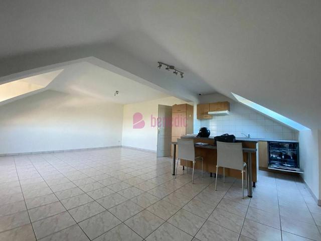 Appartement vente à Sarrebourg-Château-Salins, Dieuze