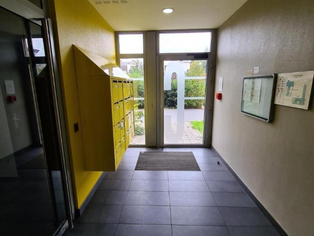 Appartement vente à Lille