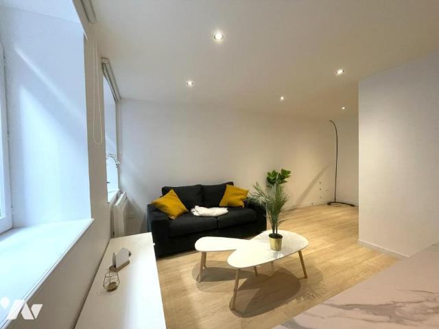 Appartement vente à Lille
