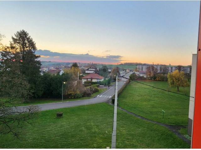 Appartement vente à Val-de-Briey, Longuyon