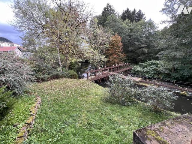 Appartement vente à Saint-Dié-des-Vosges, Moyenmoutier