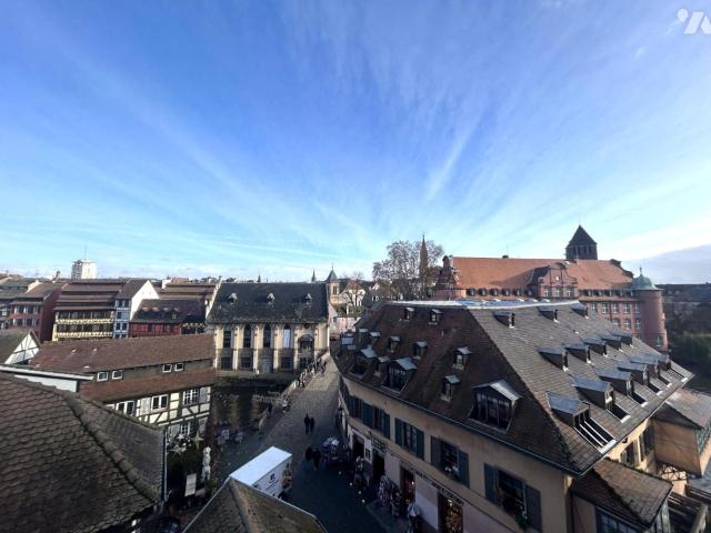 Appartement vente à Strasbourg, Hoenheim
