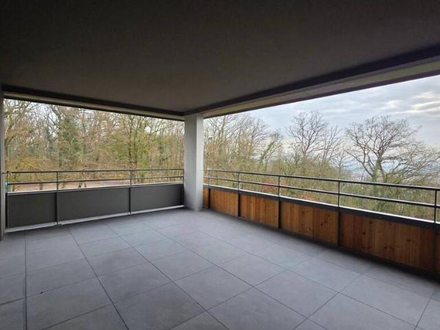 Appartement vente à Thionville