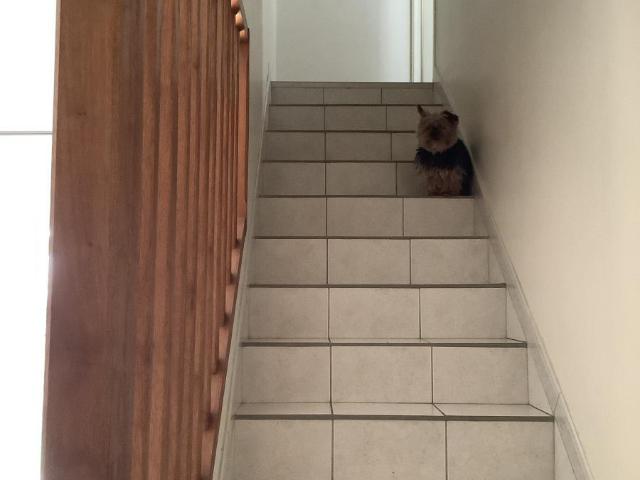 Appartement vente à Angers, Trélazé