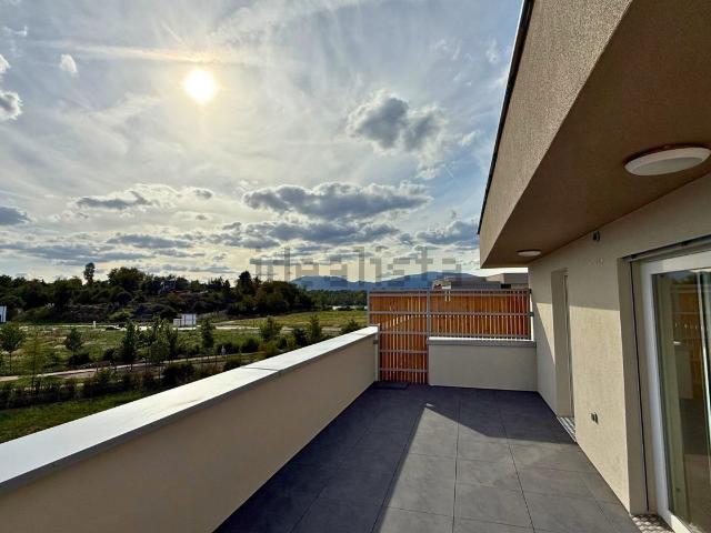 Appartement location à Ensisheim, Collectivité européenne d'Alsace