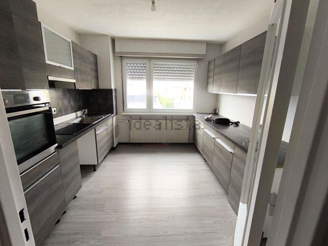 Appartement location à Erstein, Collectivité européenne d'Alsace