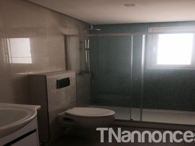 Appartement location