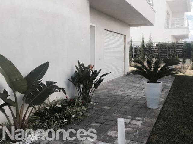 Appartement vente