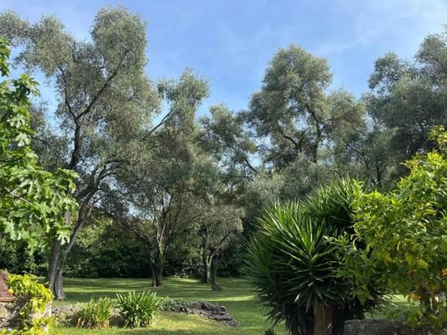 Appartement vente à Roquefort-les-Pins, Alpes-Maritimes