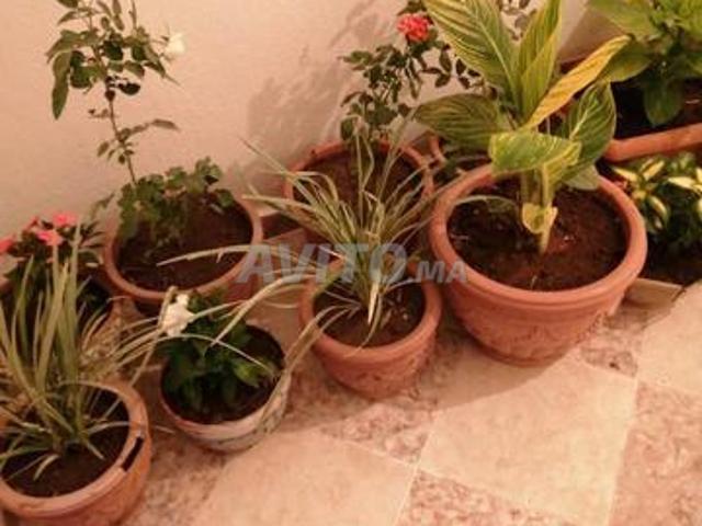 Appartement location à Mellal