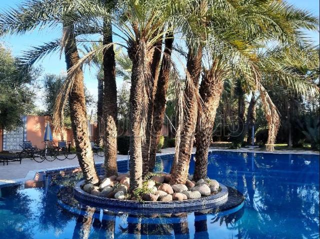 Appartement vente à Marrakech, L'Oriental