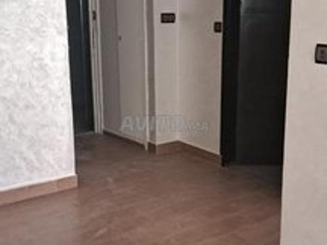 Appartement location